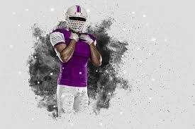 2025 赛季回顾：多伦多蓝鸟队在不被看好的情况下通过外卡赛一路杀入总决赛